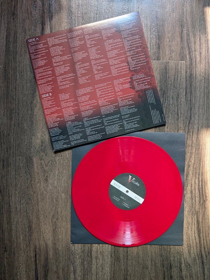 "Villain" Vinyl Record product image (2)