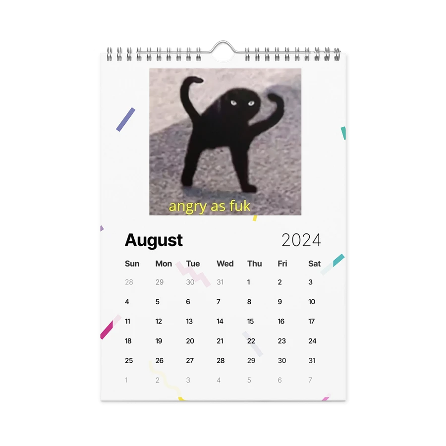 Wall Calendar (2024): Meme Cats product image (4)