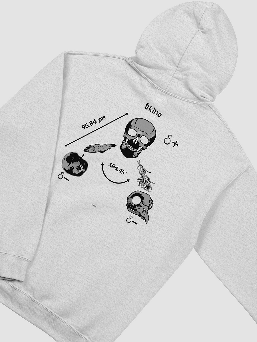 Saga Hydropolitique ( Hoodie Bright Edition ) product image (4)