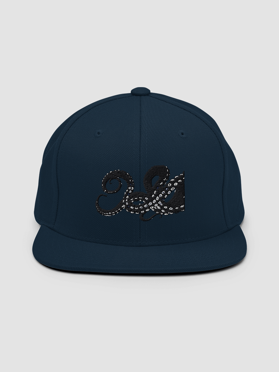 [ DEN SUPPLIES ] Snapback Hat 2 product image (1)