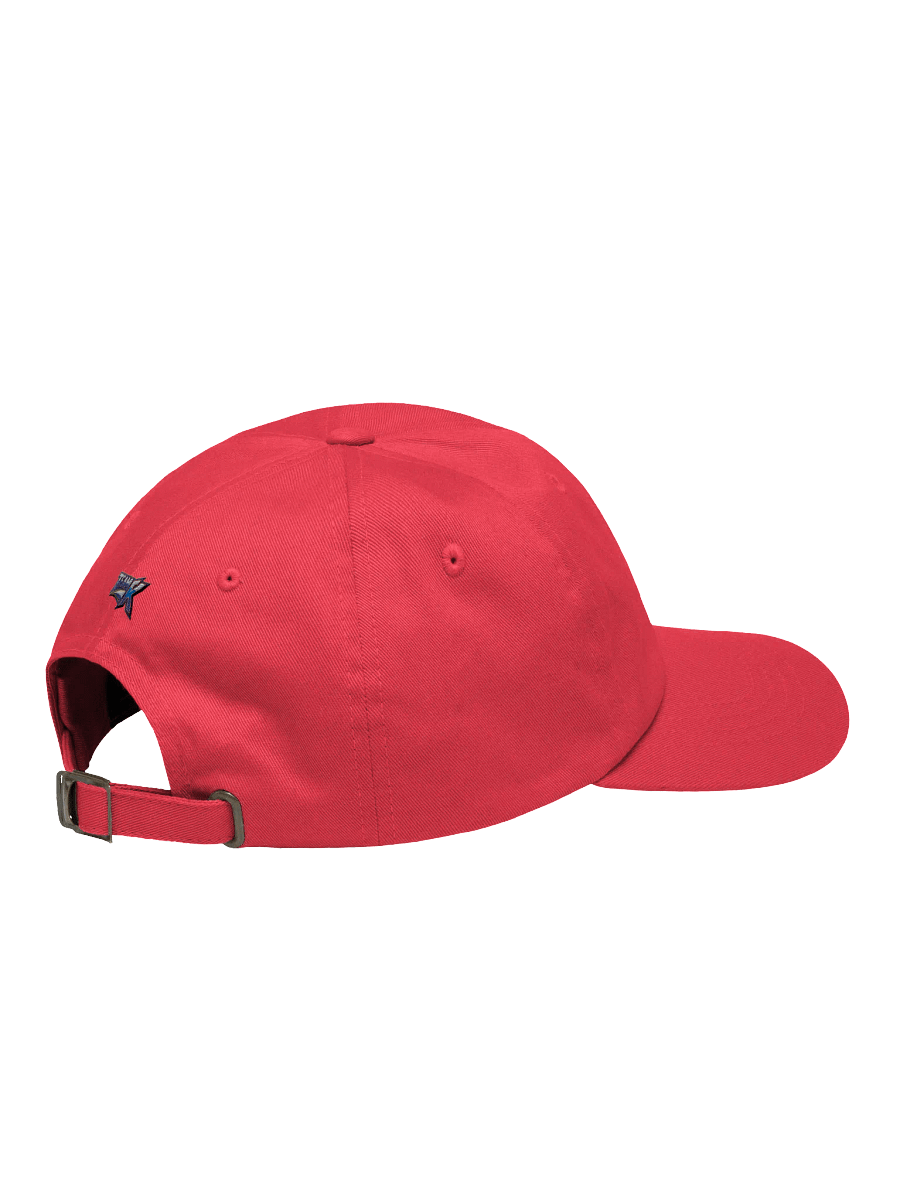 TEAM K TRINIDAD Hat 2 product image (4)