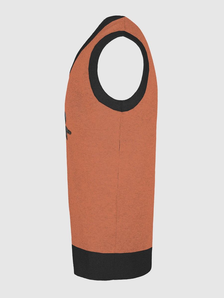 Sculpture Knit V-Neck Vest product image (6)