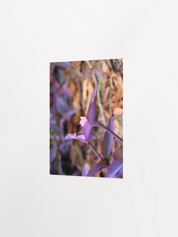 A Study in Flowers 8 product image (2)