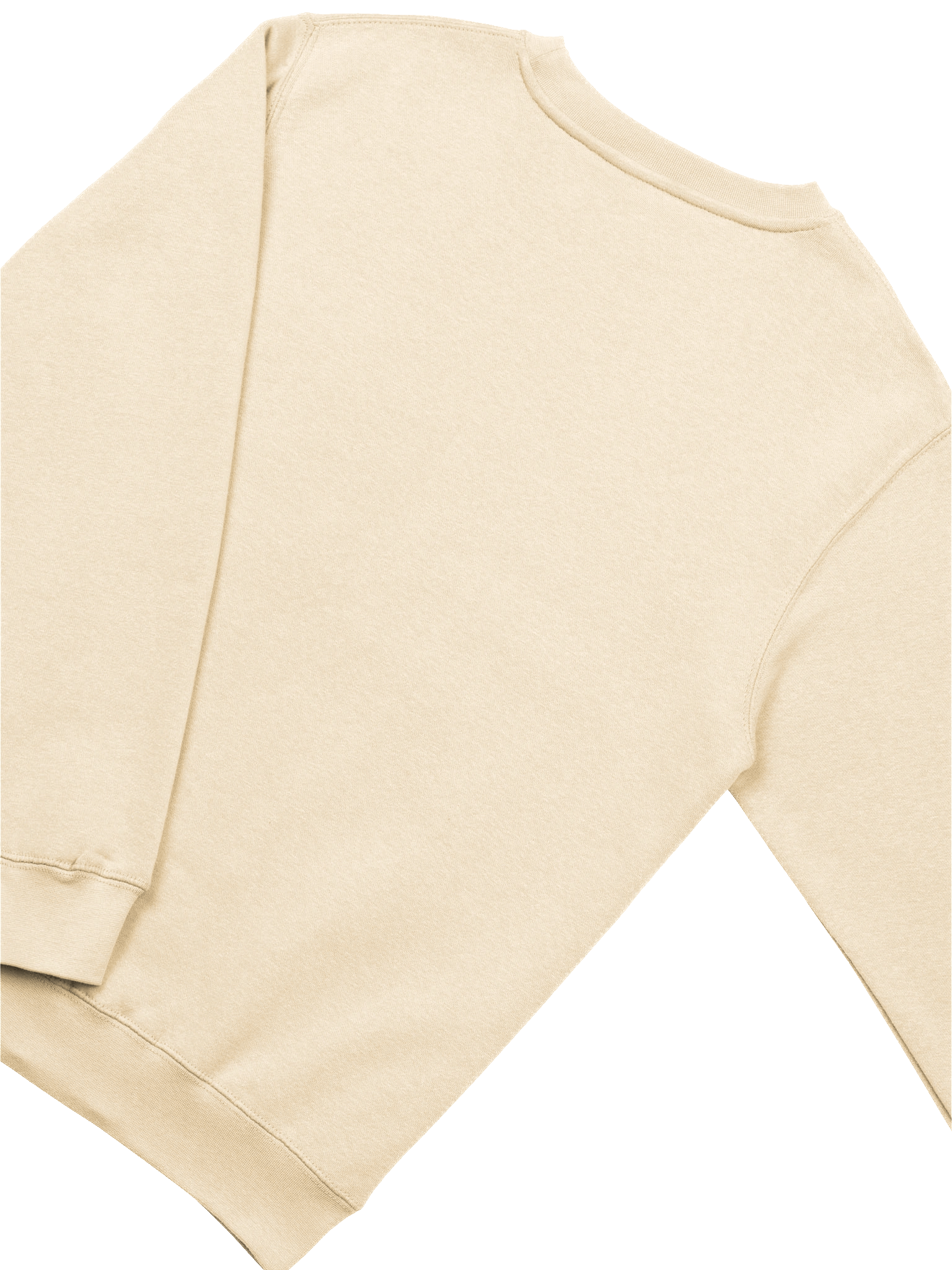 Reading club sweatshirt product image (4)
