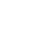 Vidgeo