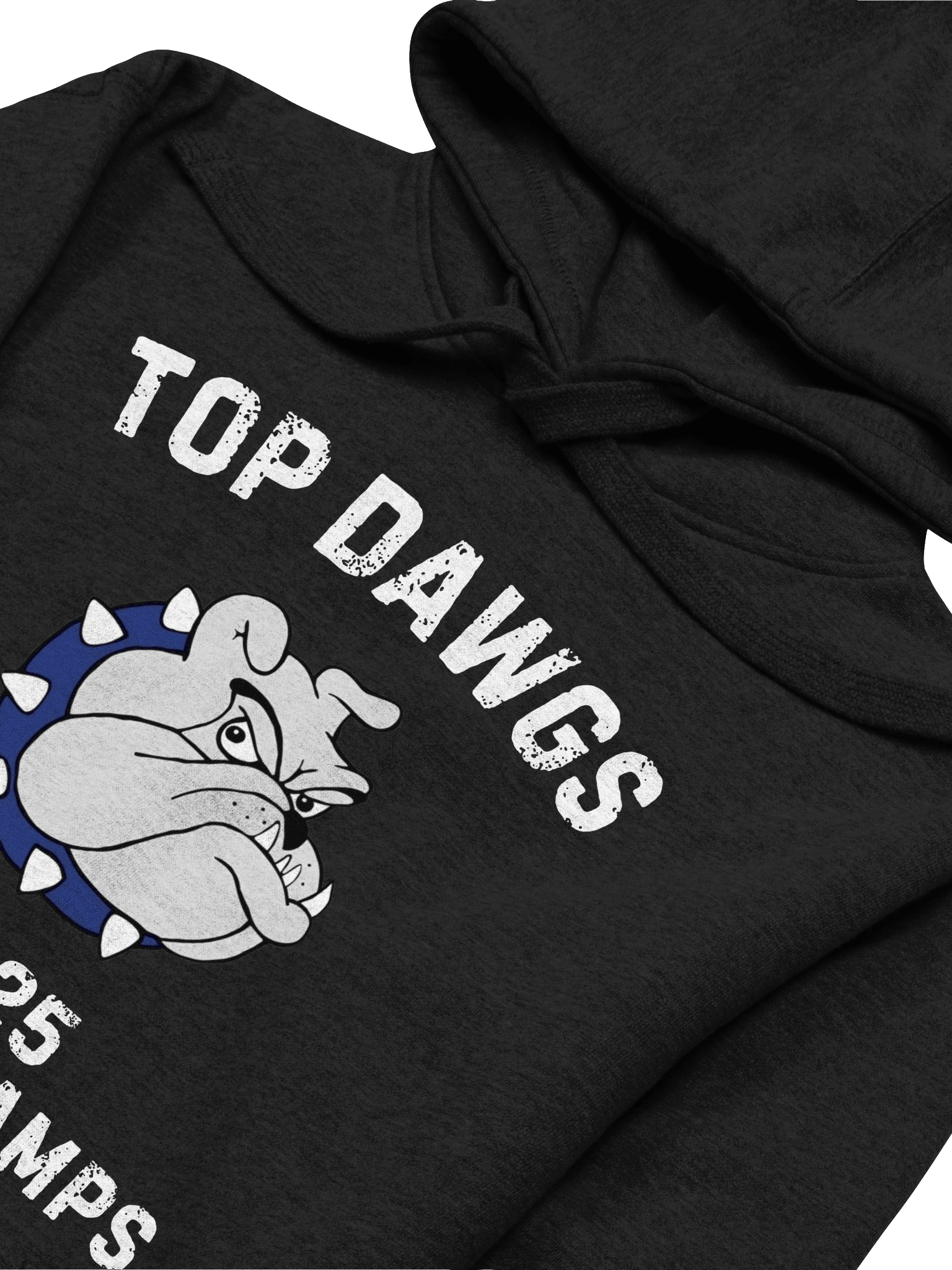 Top Dawgs State Champs Hoodie product image (3)