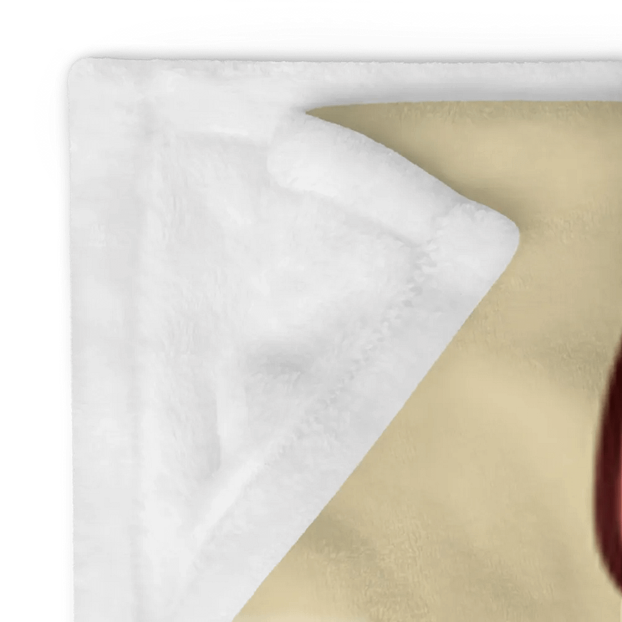 Do Not Disturb Blanket product image (24)
