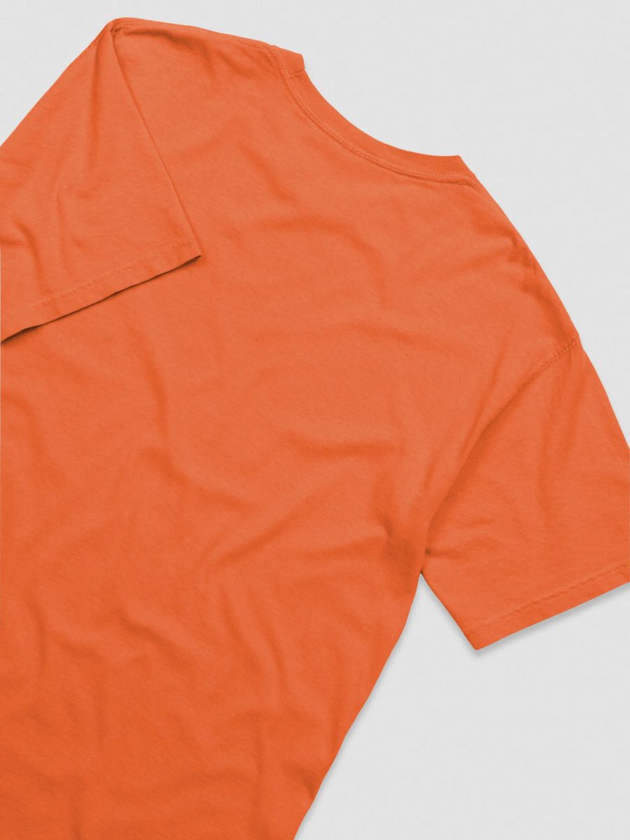 LIL STEP BROS Embroidered Tee product image (32)