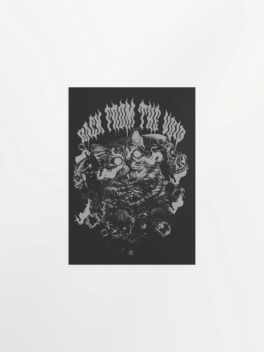BACK FROM THE VOID - POSTER product image (1)