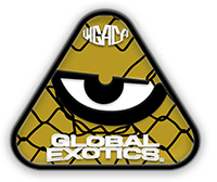 Global Exotics