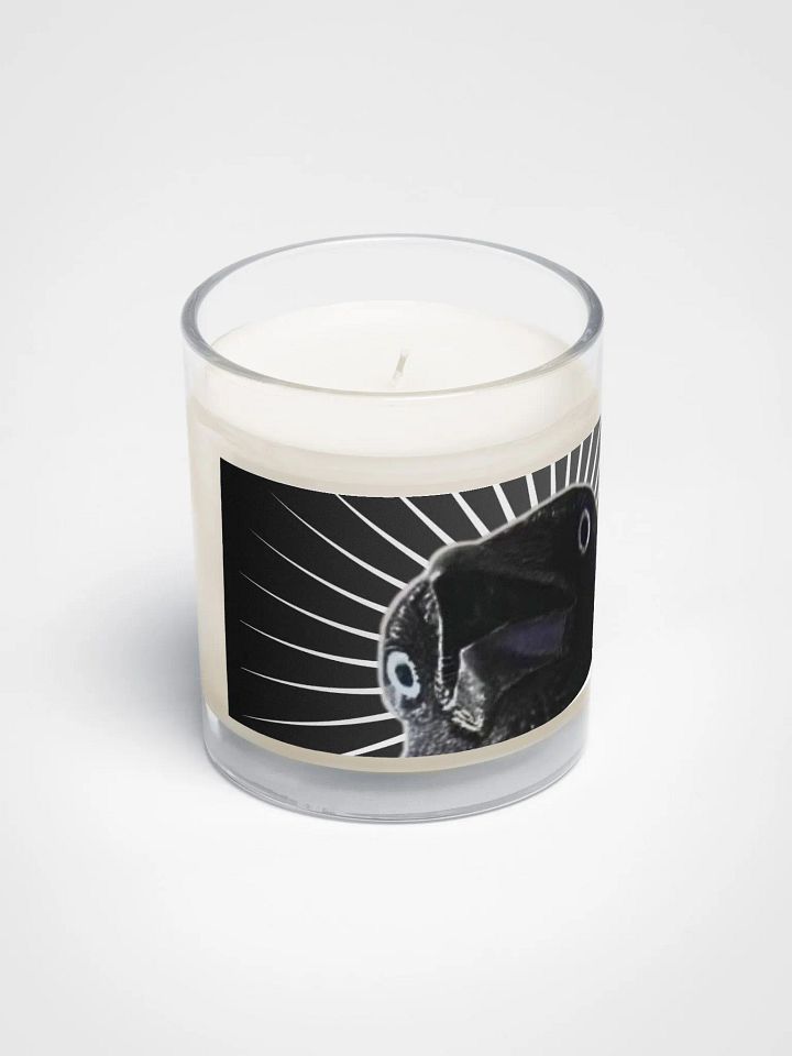 St. Thaddeus candle, the Light in the Darkness 🙏 product image (2)