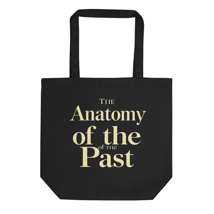 The Anatomy of the Past Tote Bag product image (2)