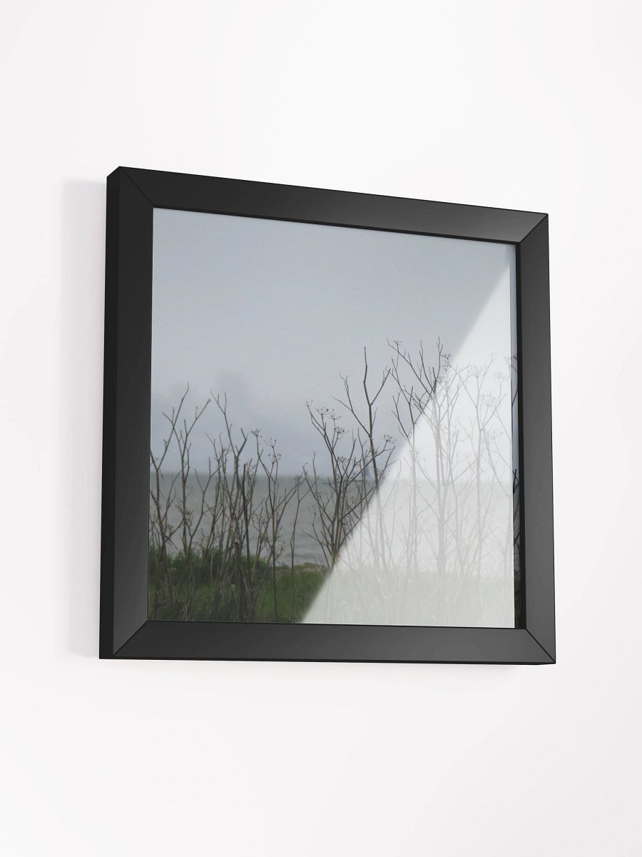 Fog Fennel product image (22)