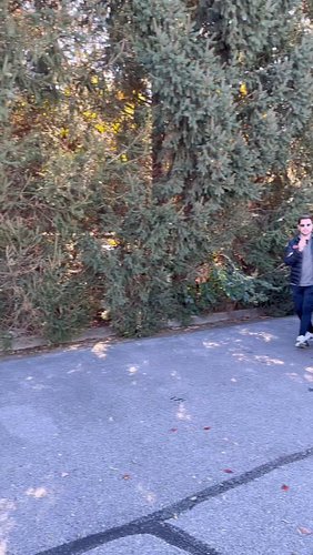 The 2026 Audi Q7 is adding quite a few standard features for this year, but is this older option aging like it should?? It’s ...