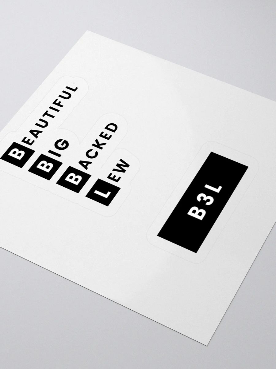 The B3L Package product image (9)