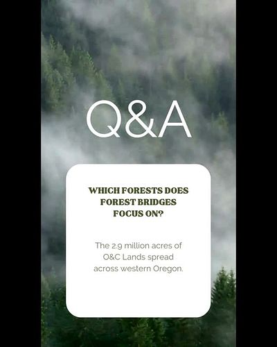 Which forests does Forest Bridges focus on? 
The 2.9 million acres of O&C Lands spread across western Oregon. 
#oandclands #o...