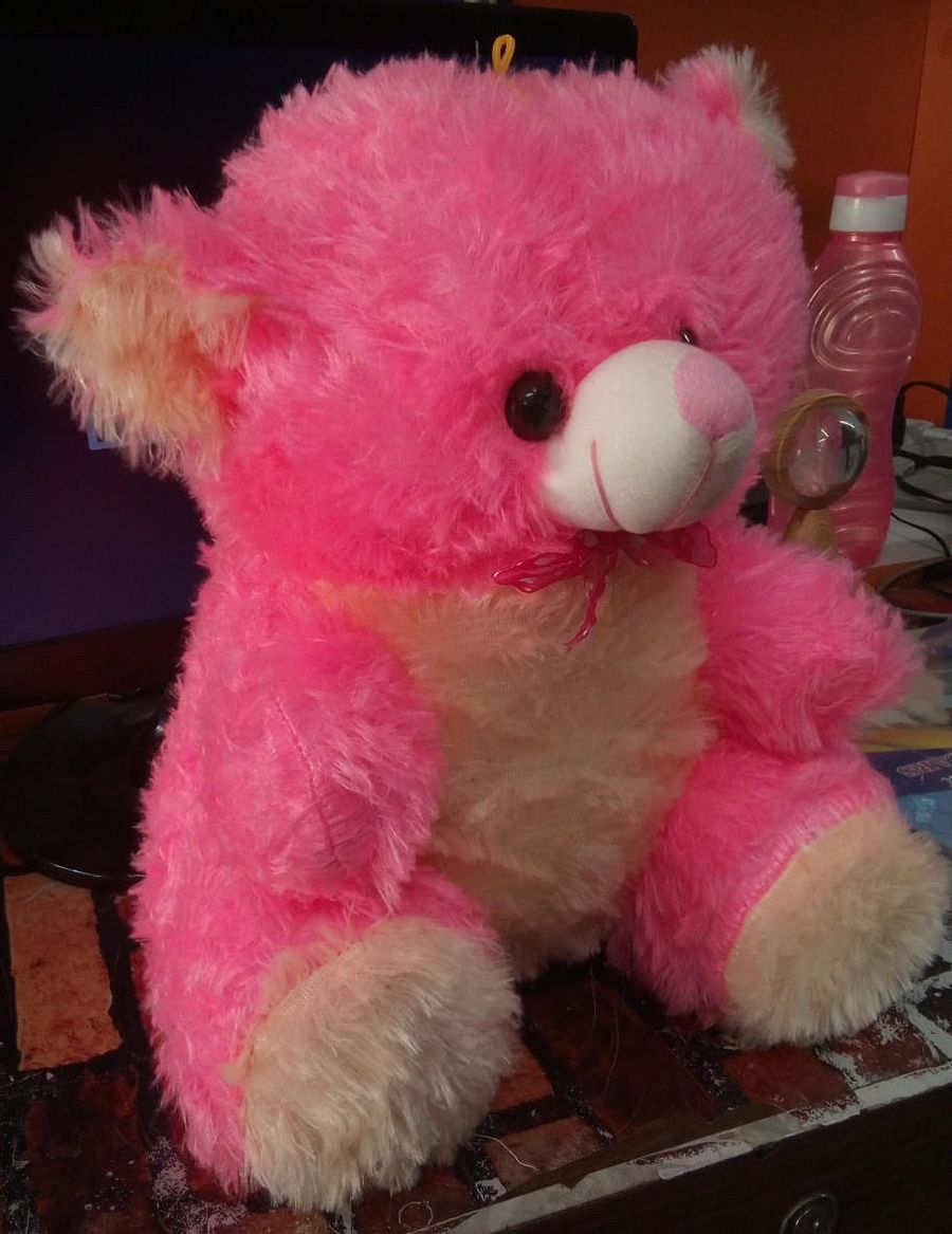 TEDDY BEAR product image (3)