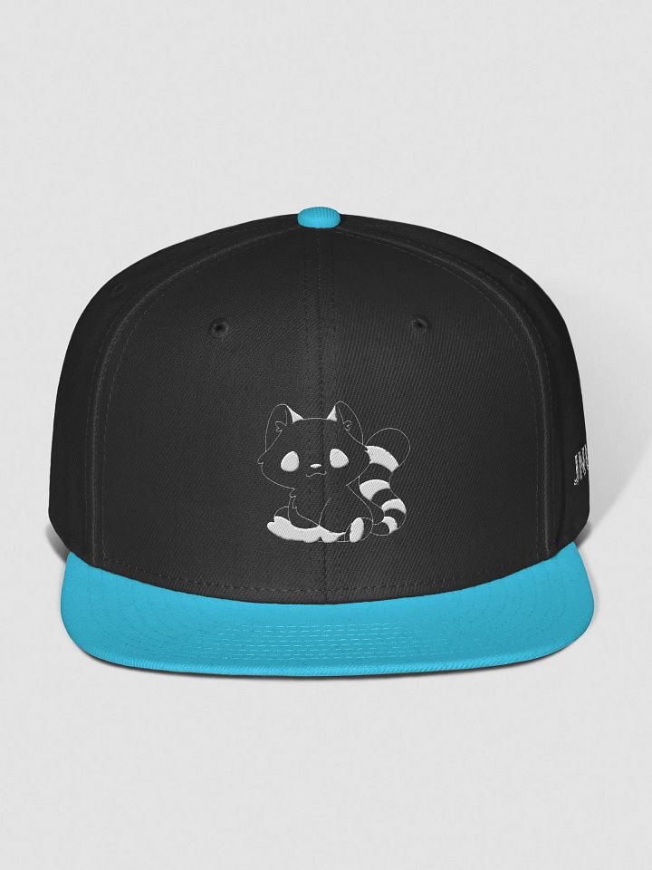 Multi Color Snapbacks product image (1)