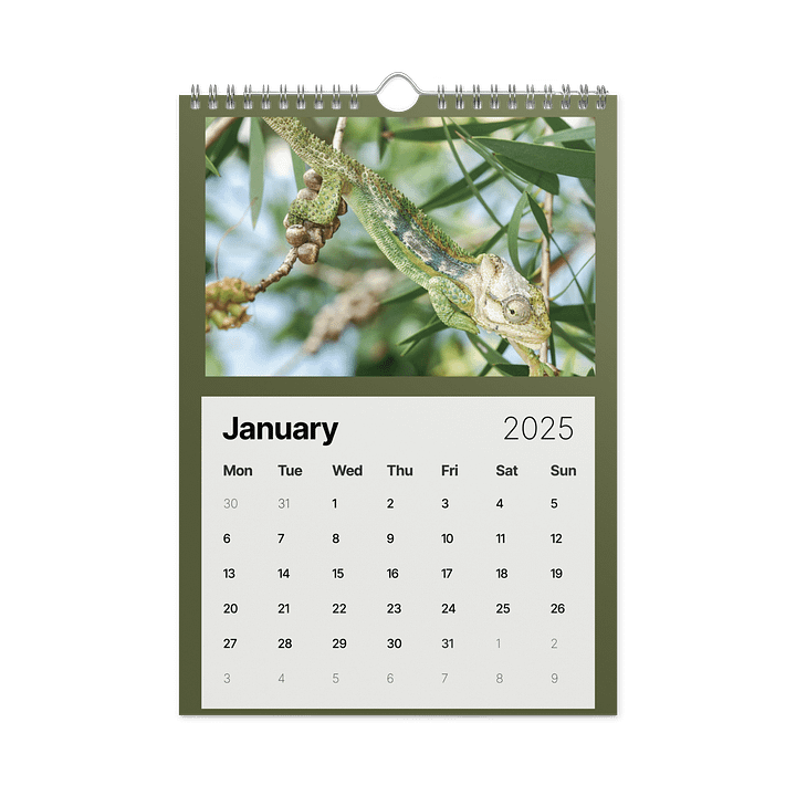 Biodiversity & Environment Africa 2026 Calendar product image (2)