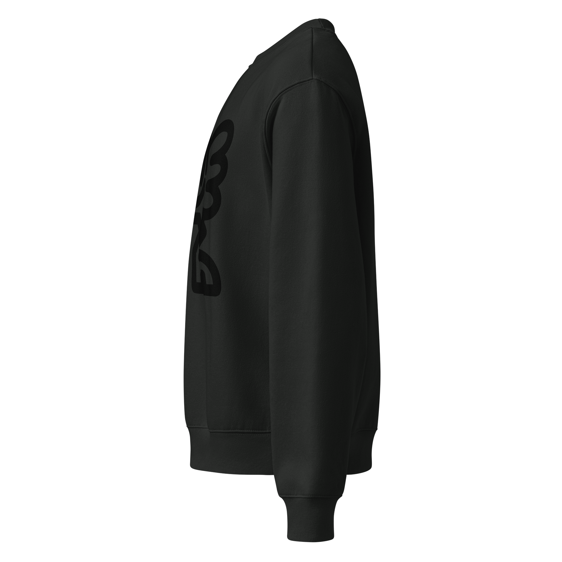 'Flapper' Sweatshirt product image (3)