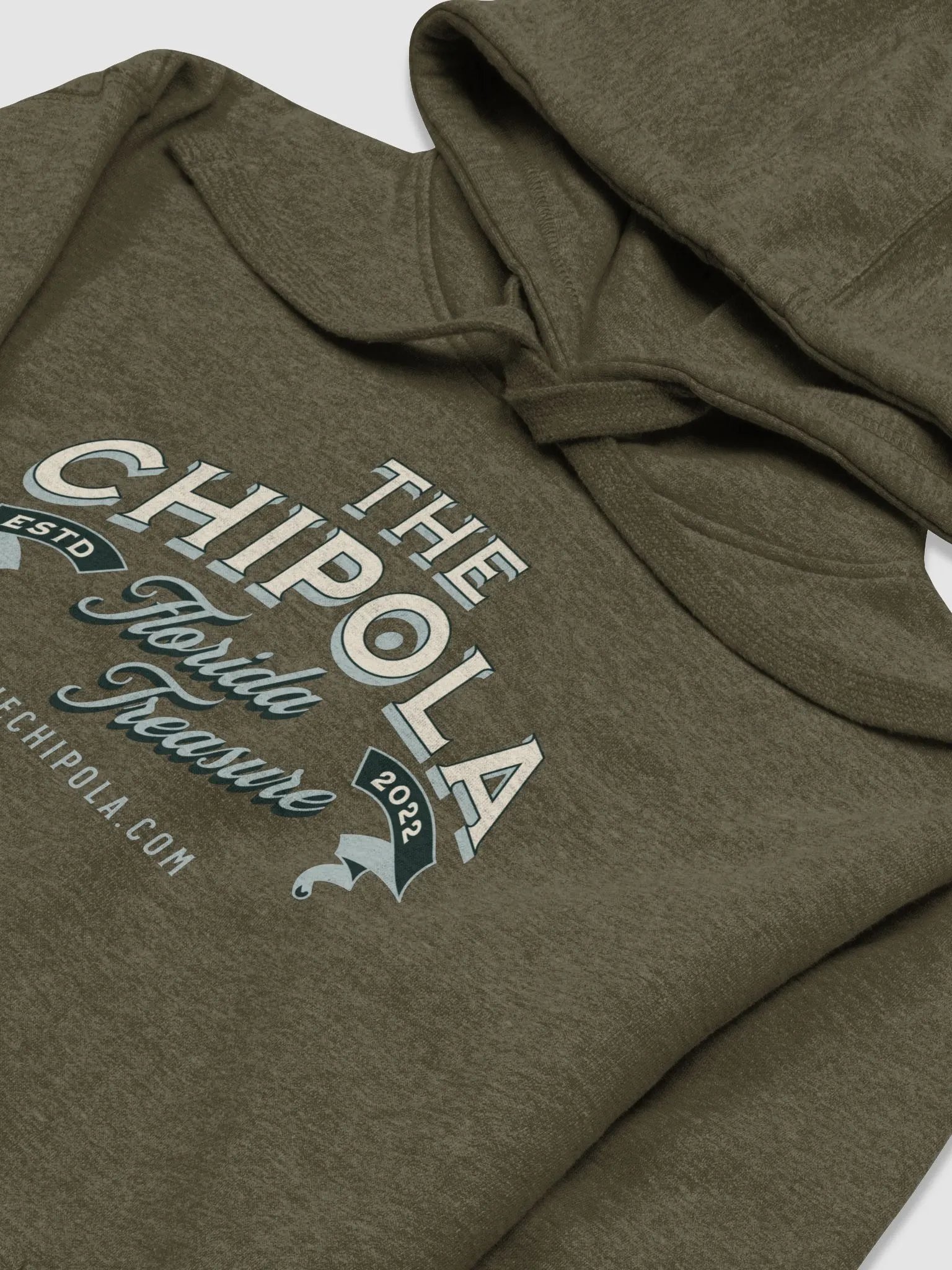 The Class Hoodie product image (2)