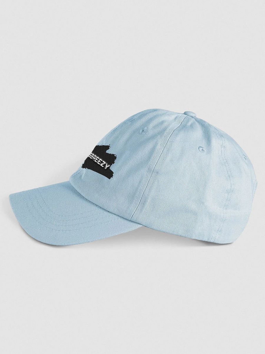 Breezy Logo Hat! product image (3)