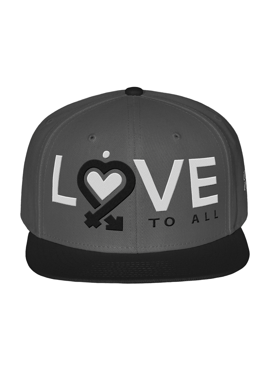 L2A Embroidered Snapback Hat product image (2)