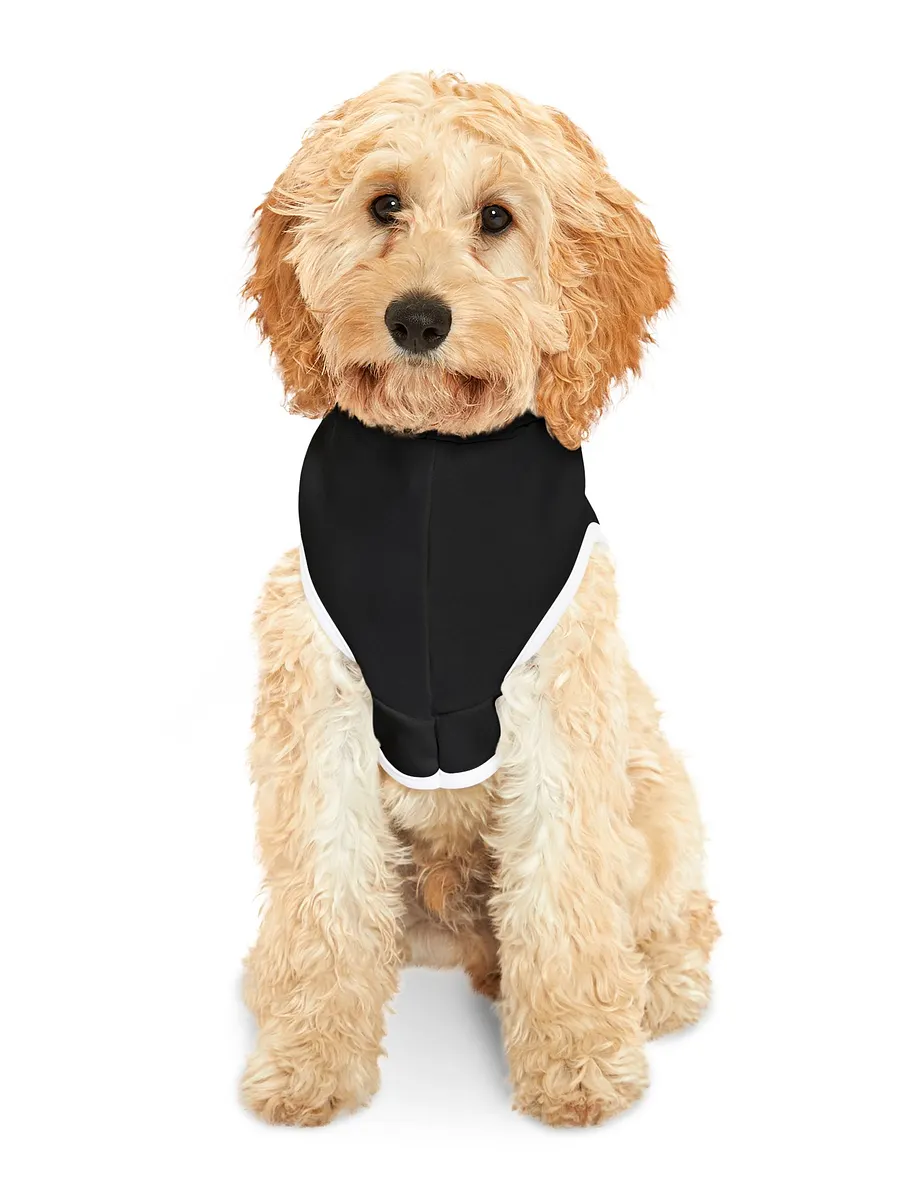 PAPASITOS PAWS OWN PARTY HOODIE product image (10)