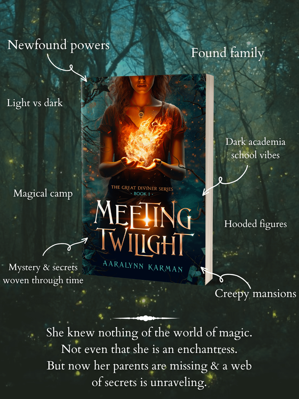 Meeting Twilight Signed Paperback product image (2)