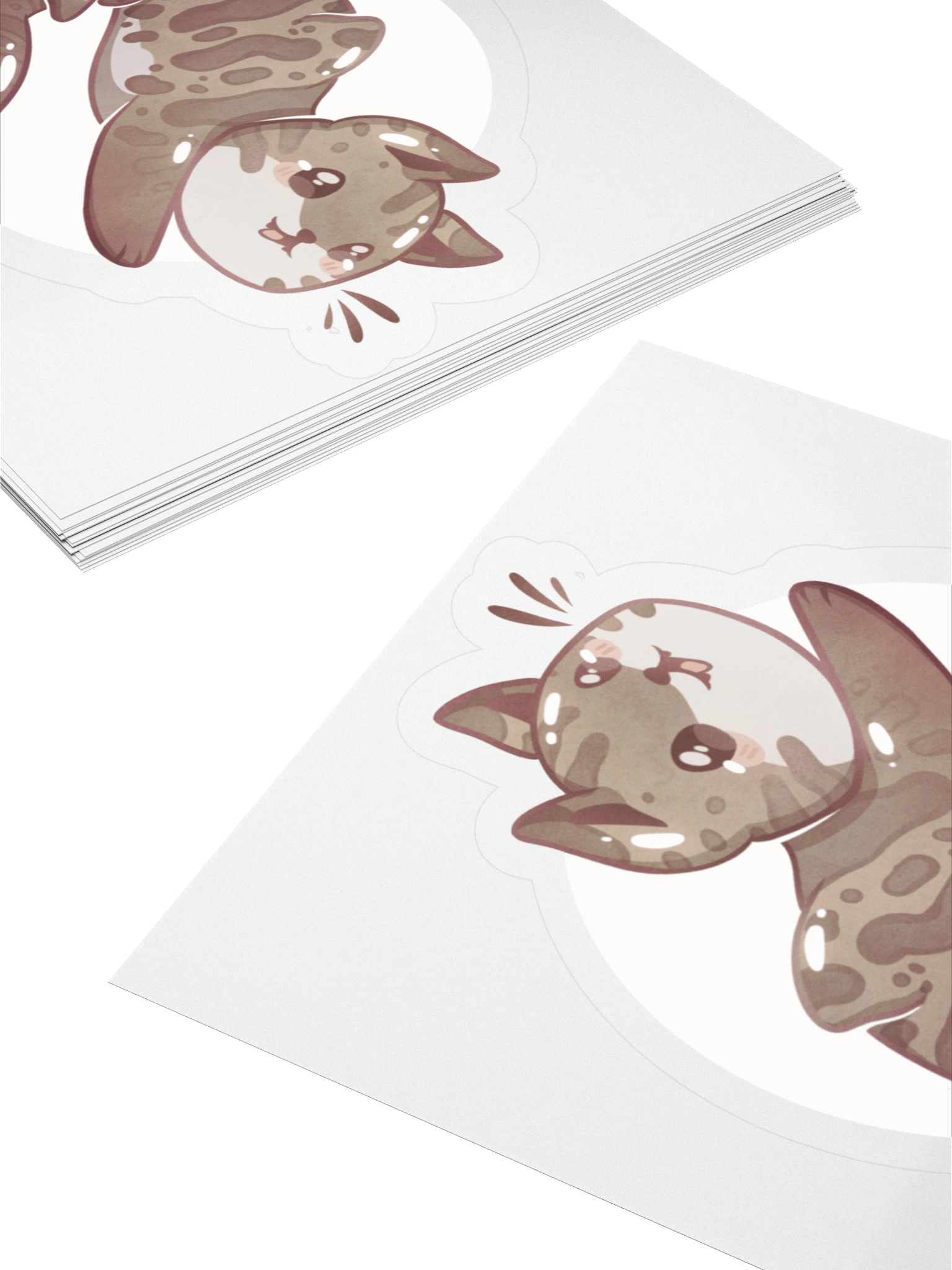 CATSHARK - Leopard shark - sticker product image (4)