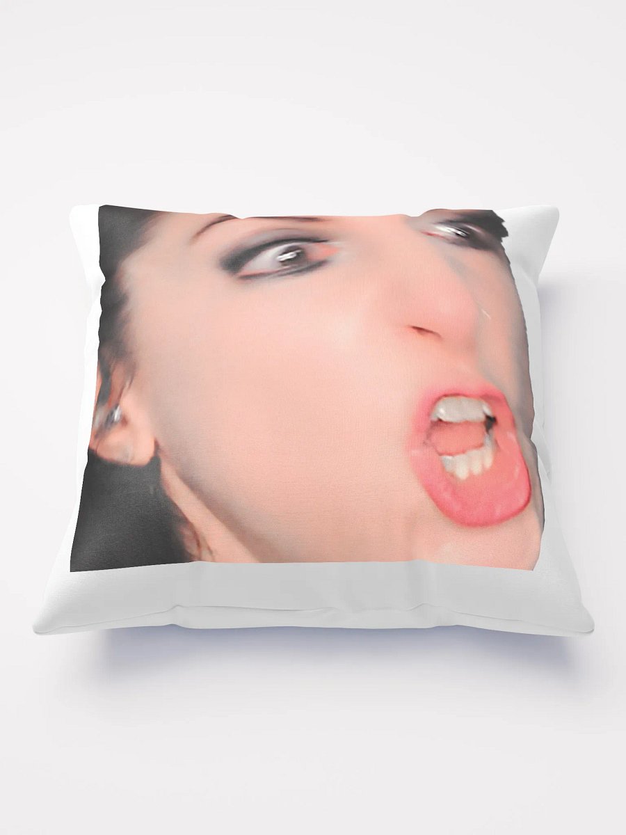 RIDICULOUS PILLOW product image (3)