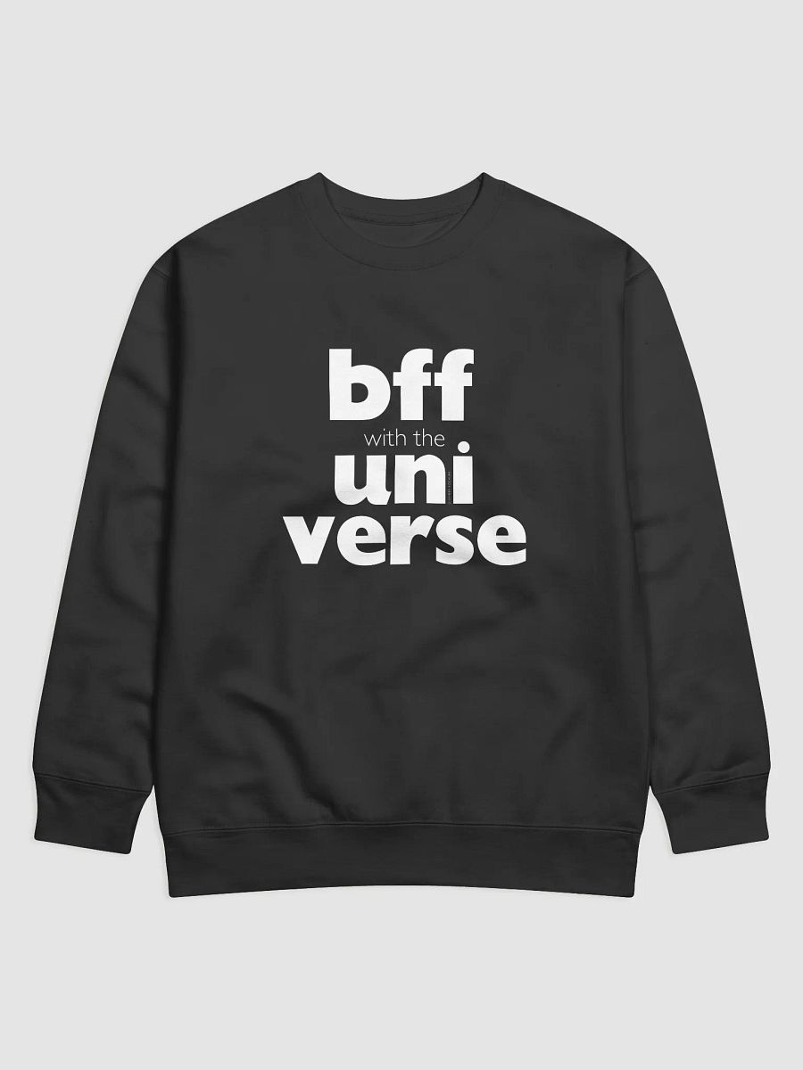 'BFF with the Universe' Premium Sweatshirt product image (1)