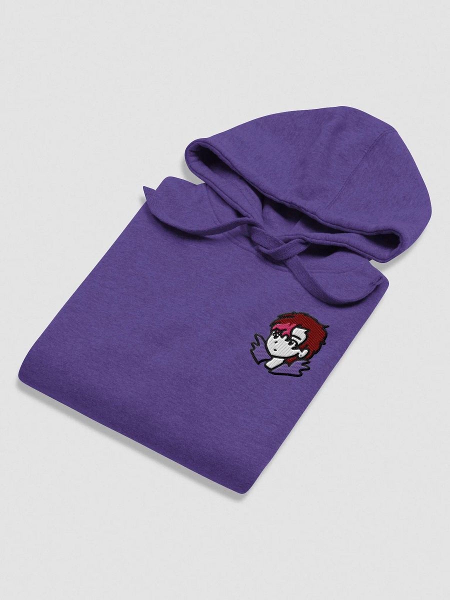 BiS Kai Embroidered Hoodie (zzZ) +12 Alt. Colors product image (4)
