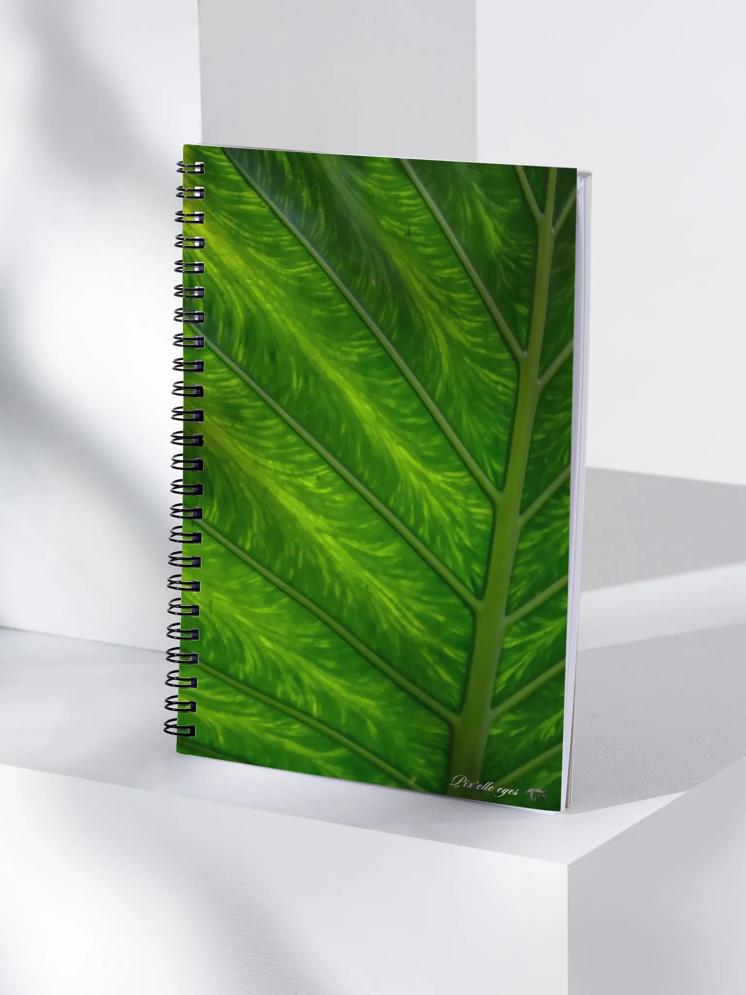 📘 Notebook Collection PURE – Jardin du Rayol – Veines de lumière product image (4)