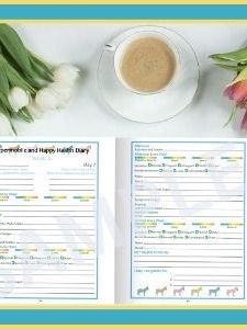 One Day Health Diary Printable product image (3)