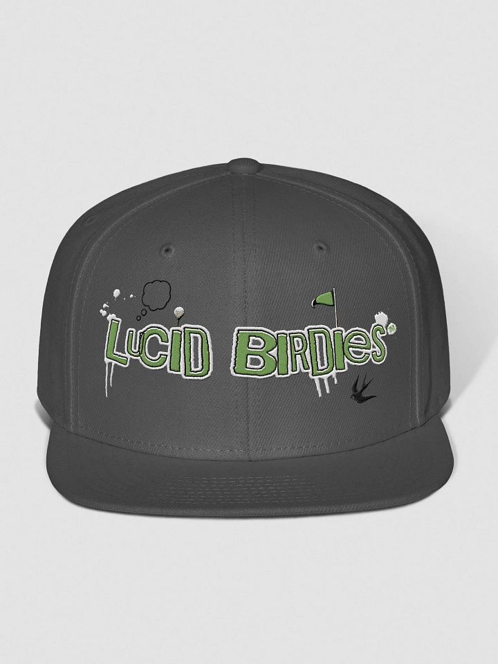 Lucid Birdies green streetwear logo snapback hat product image (1)