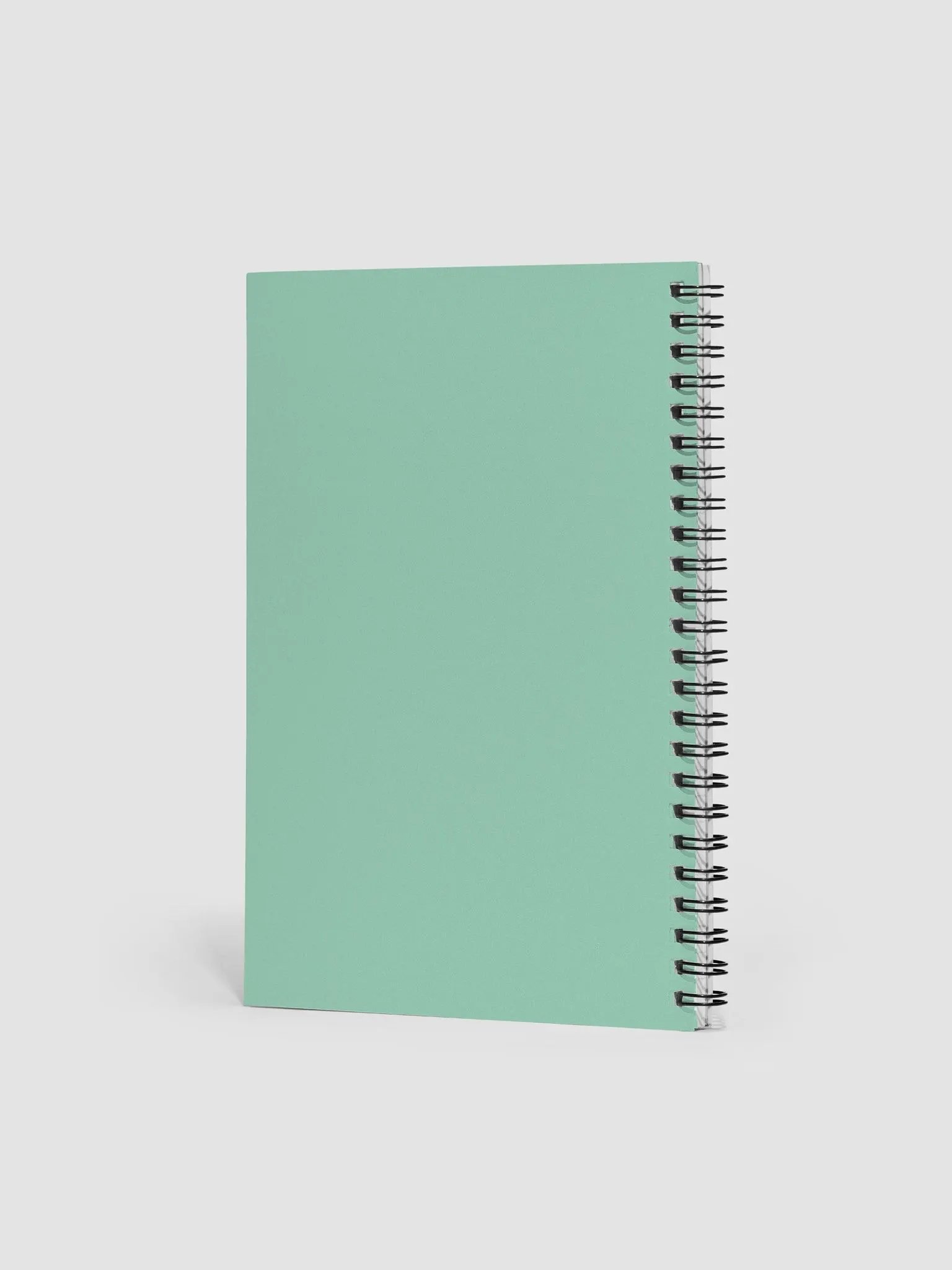 Lotta Peachy Love Notebook product image (2)