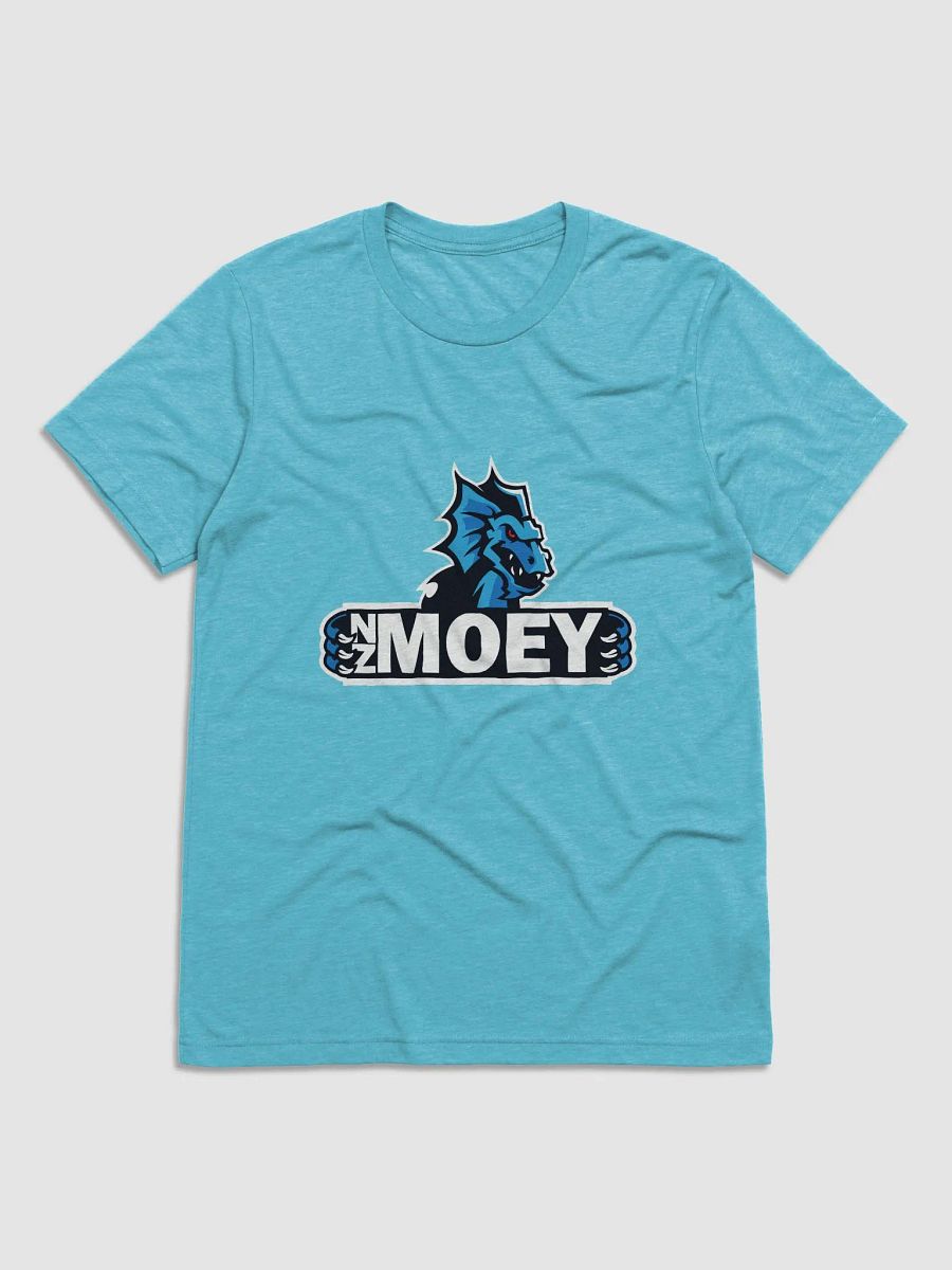 NZMOEY Logo Bella+Canvas Triblend Short Sleeve T-Shirt product image (4)