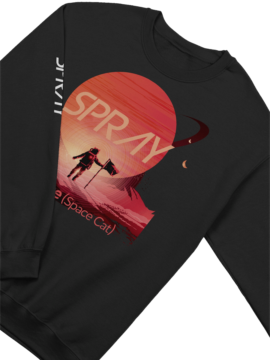 SPRAY - Felicette crewneck sweatshirt product image (34)