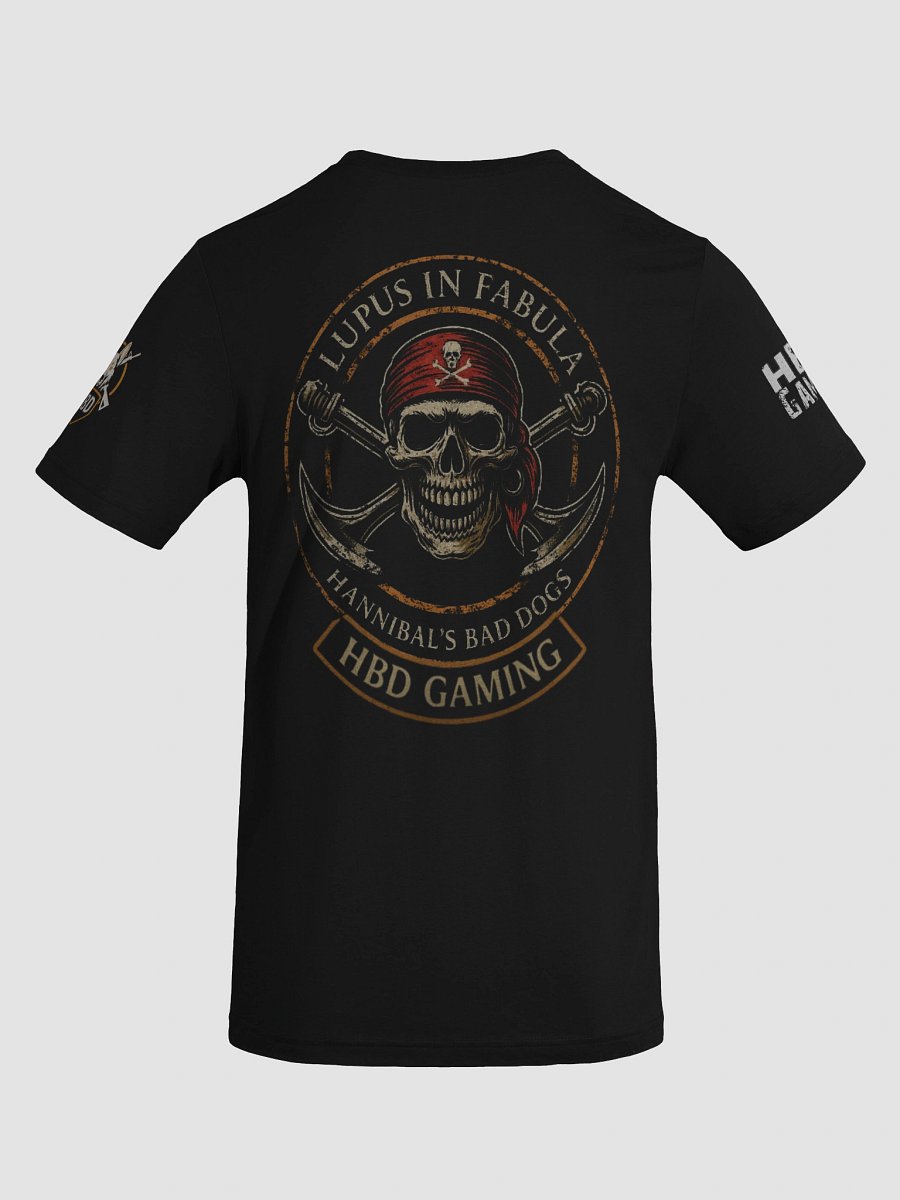 HBD Gaming Triblend Edition T-Shirt product image (64)
