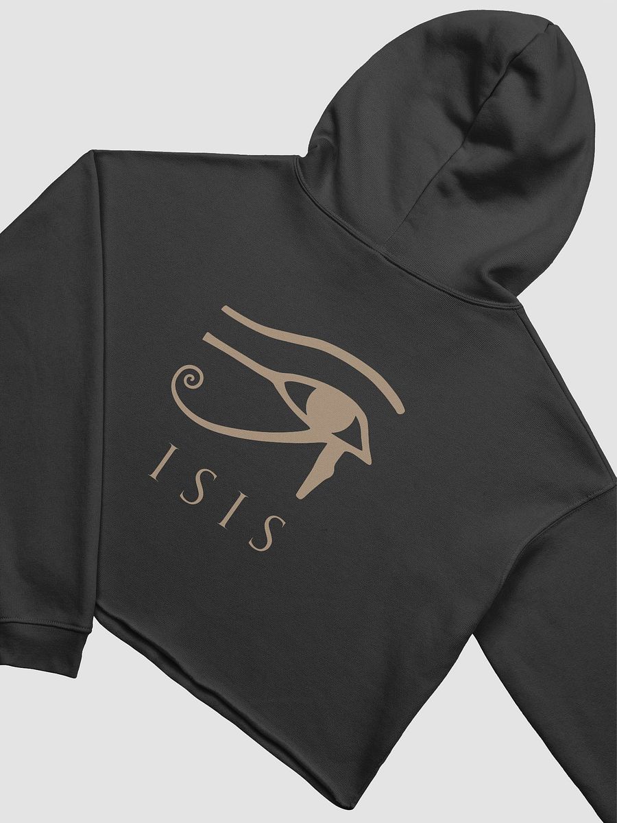 Isis Multicolor Crop Top Fleece Hoodie Fitness Training product image (4)