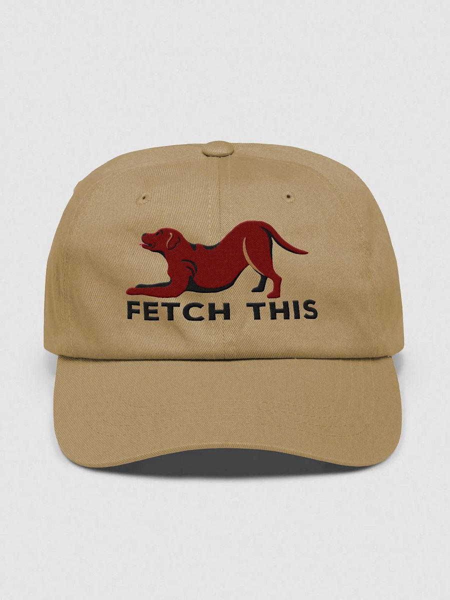 Fetch This Classic Dad Hat(Embroidered) of a Labrador Retriever(Chocolate) product image (1)