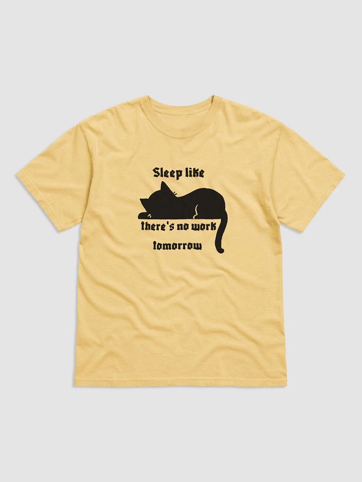 Very comfortable cat t-shirt for holidays product image (1)