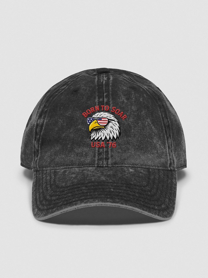 Born to Soar USA 76 Vintage Dad Hat product image (3)