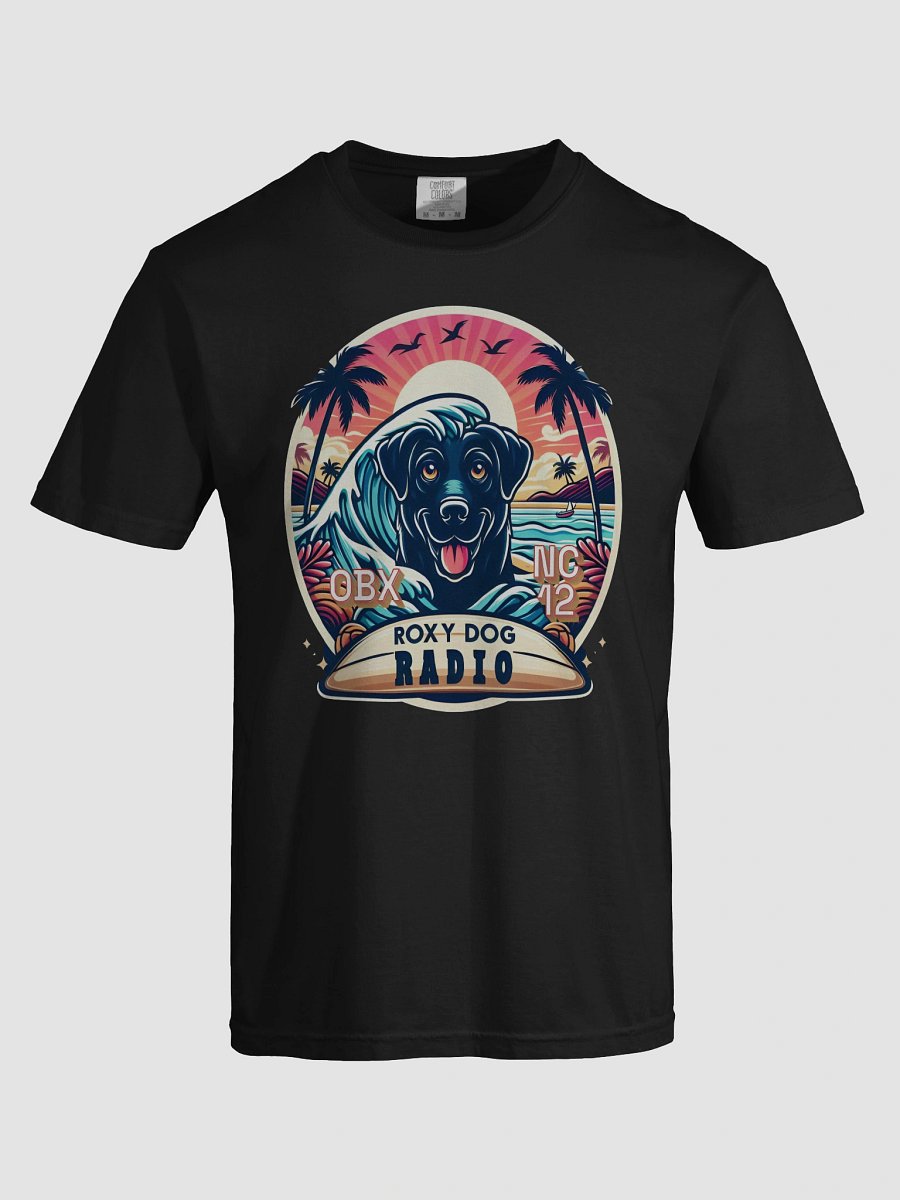 Roxy Dog Radio OBX NC 12 T-Shirt product image (55)