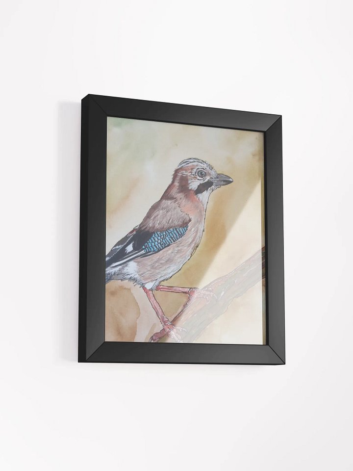 Corvis Series [01] Eurasian jay framed print product image (2)