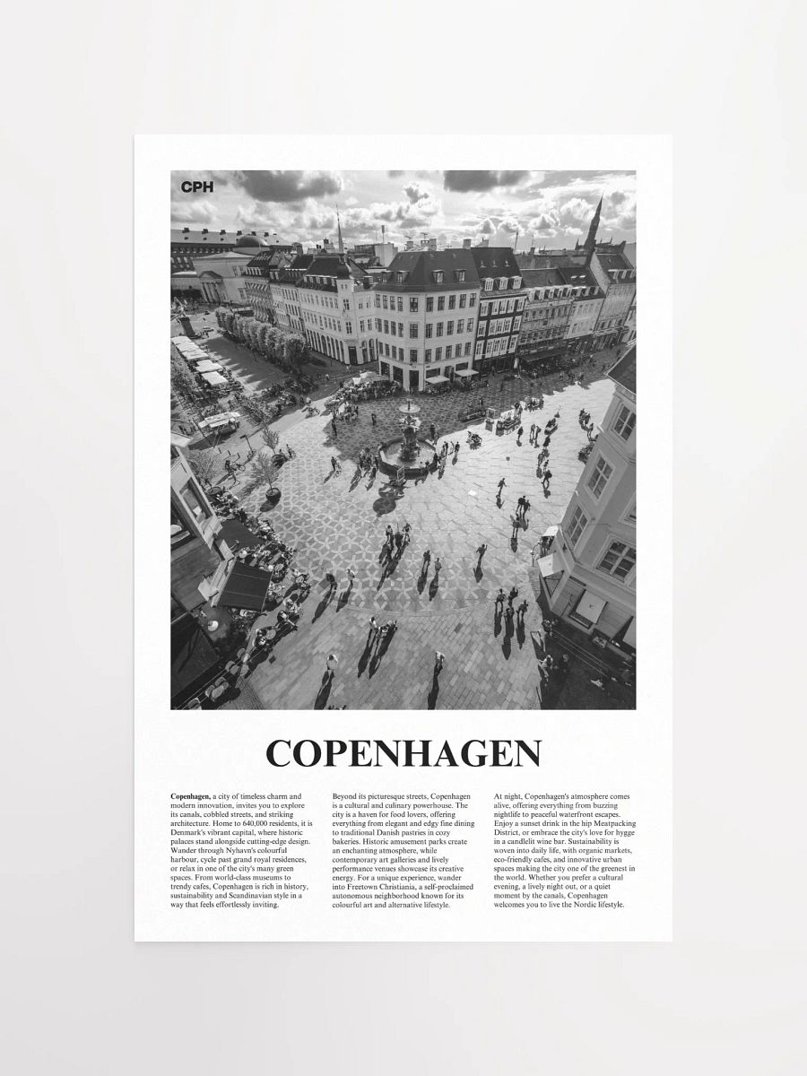 Copenhagen 02 Newspaper Poster product image (5)