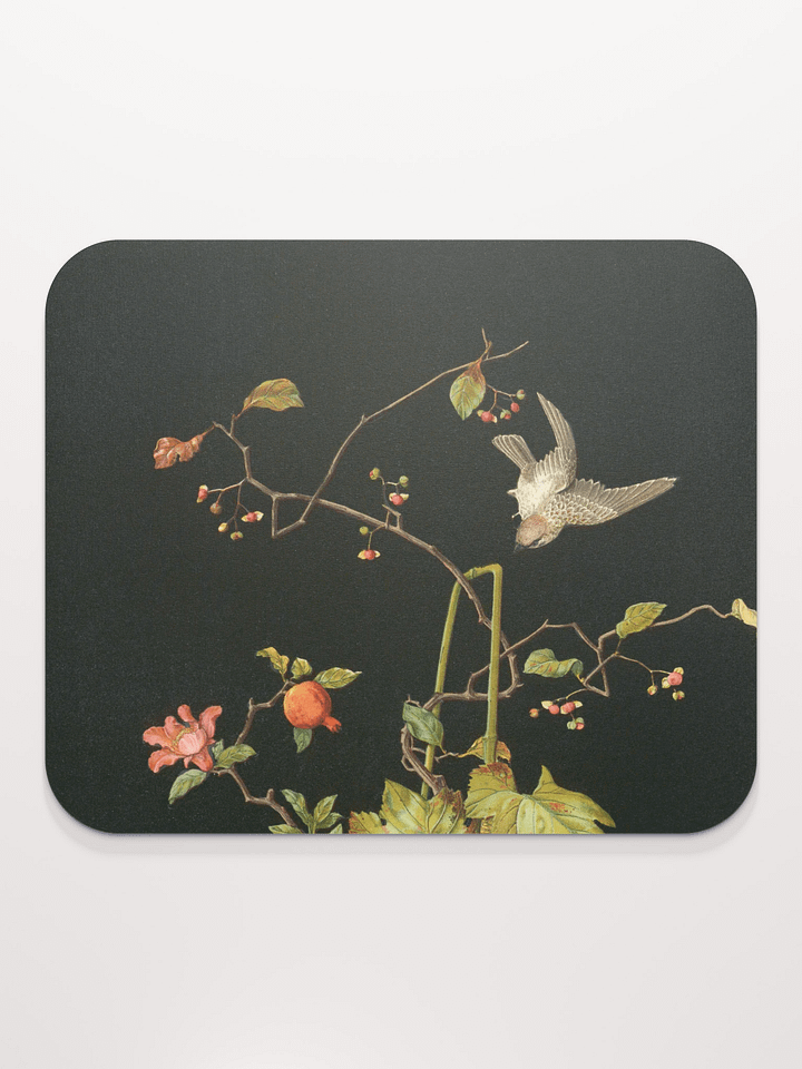 Still Life. Mouse Pad product image (1)