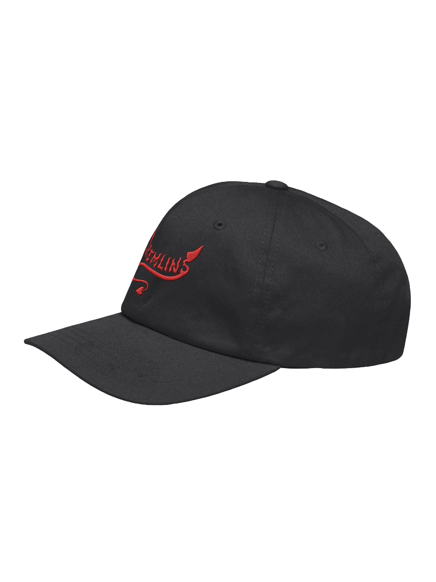 Sremlin Embroidered Hat product image (4)