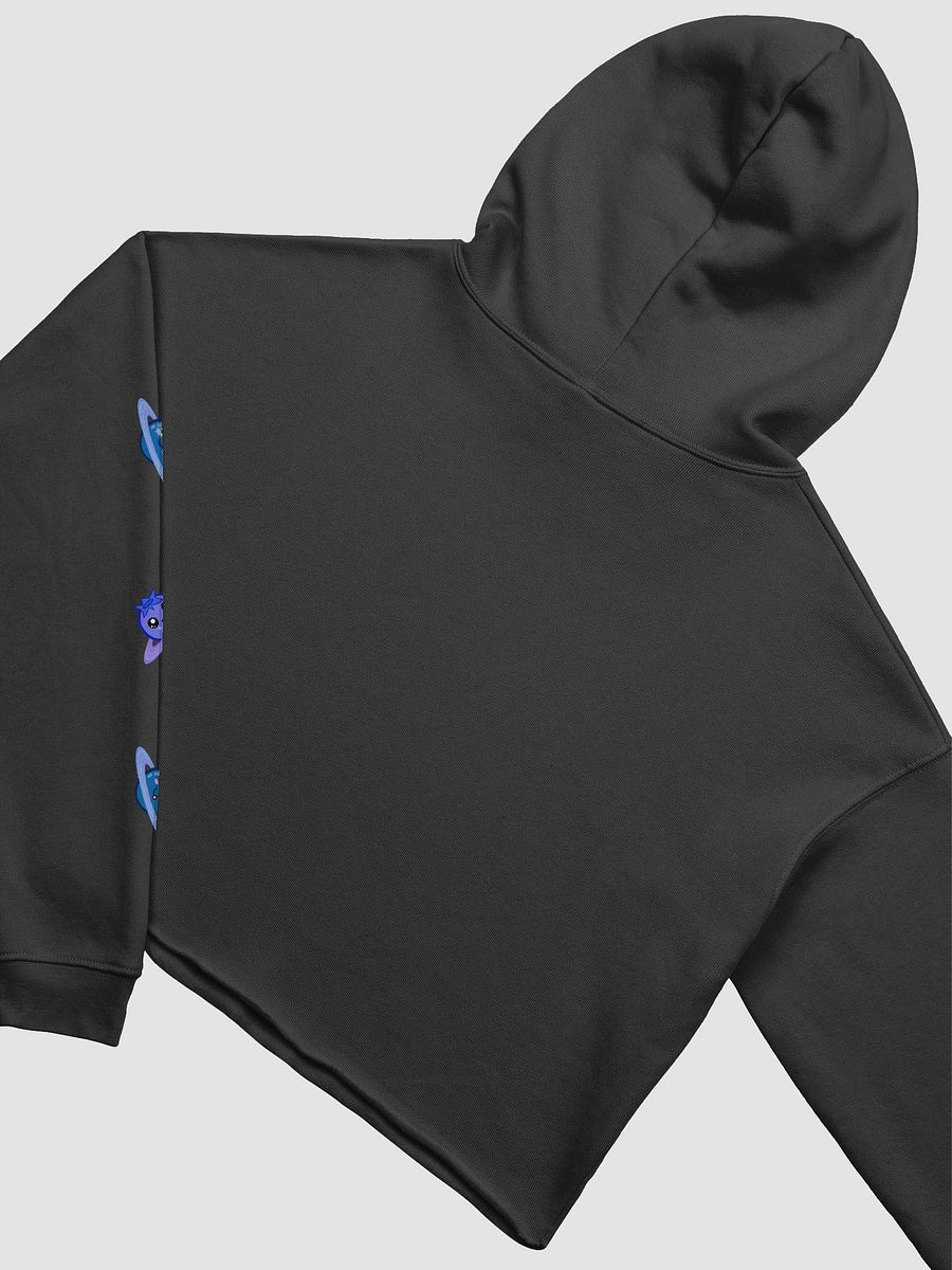 Justa Cropped Hoodie product image (4)